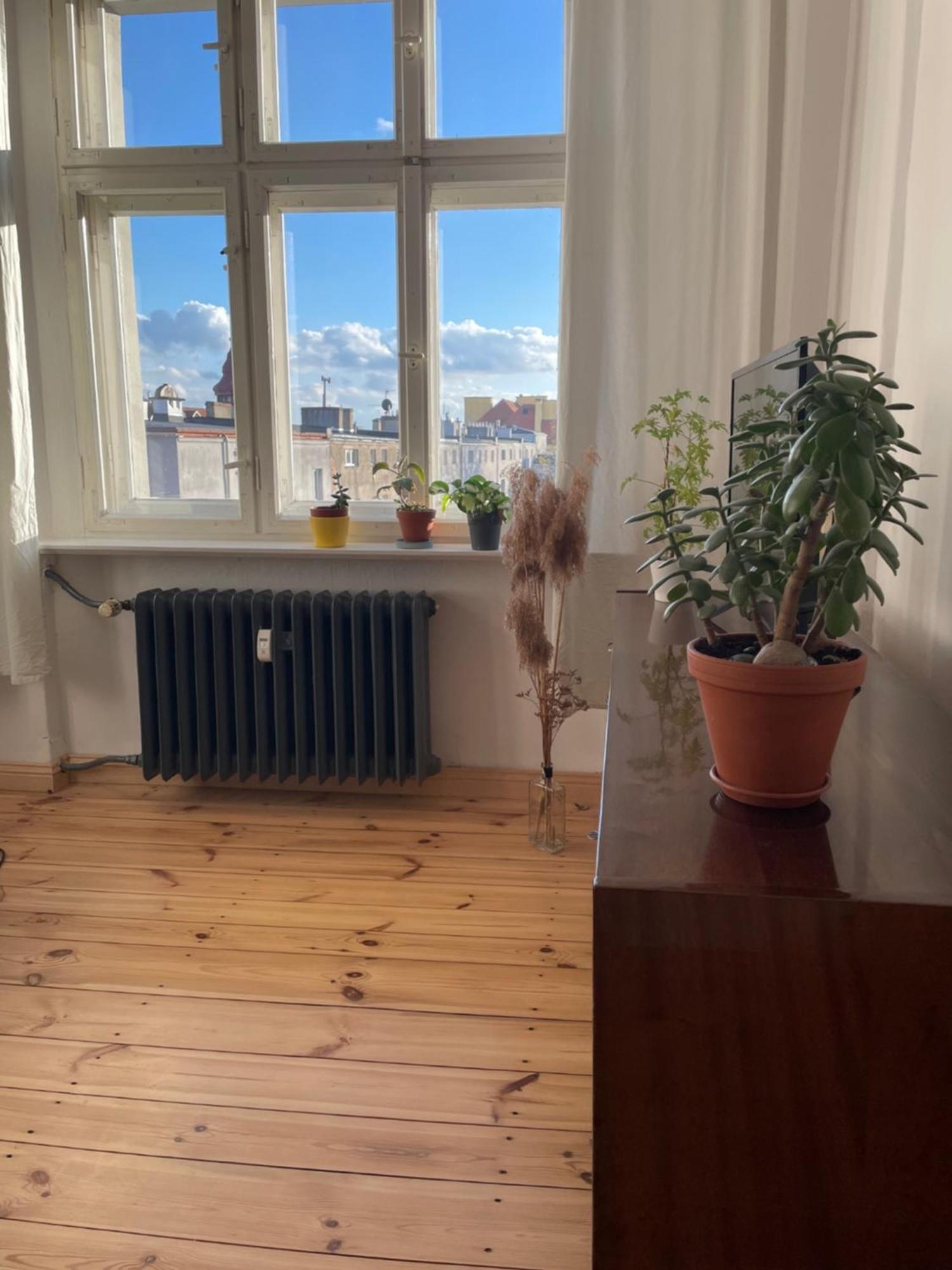 Sentymenty - Apartamenty W Kamienicy Na Mickiewicza Torun Bagian luar foto